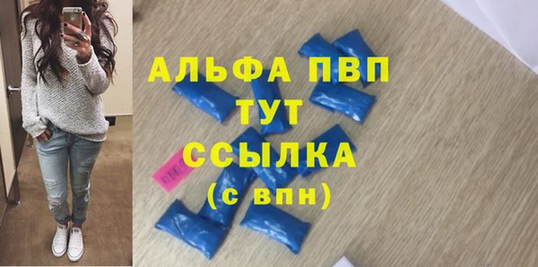 индика Саяногорск
