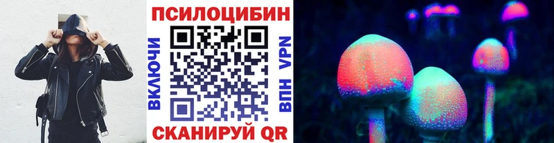 где продают   Александровск  Псилоцибиновые грибы мухоморы 
